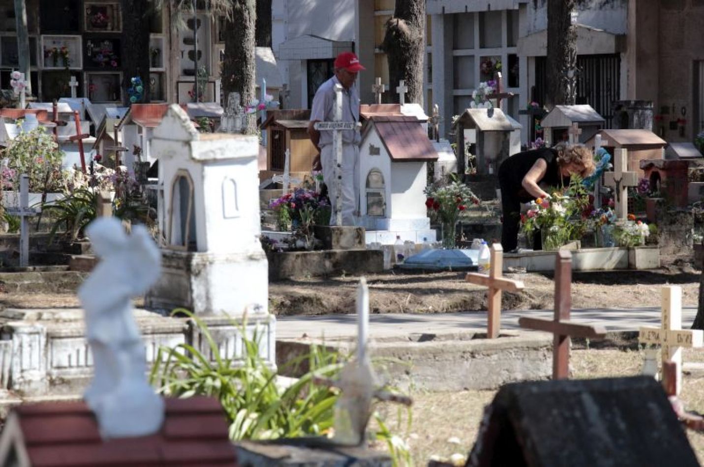 La justicia frenó la construcción del crematorio ante el hallazgo de posibles restos de personas desaparecidas durante la última dictadura militar