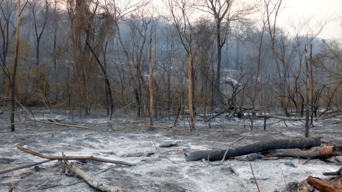 La tragedia del fuego: ya fueron consumidas más de 7 mil hectáreas en el ramal jujeño