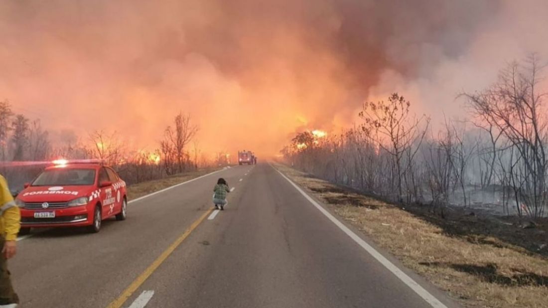 Temen que, si las llamas pasan de Salta a Jujuy, el desastre ambiental en Parque Calilegua será devastador
