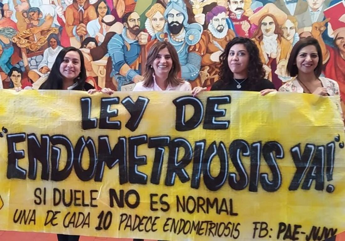 Morales vetó la ley de endometriosis que beneficiaba a mujeres