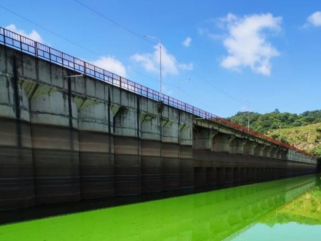 El agua del dique Los Alisos se encuentra "verde" y podría sufrir una contaminación