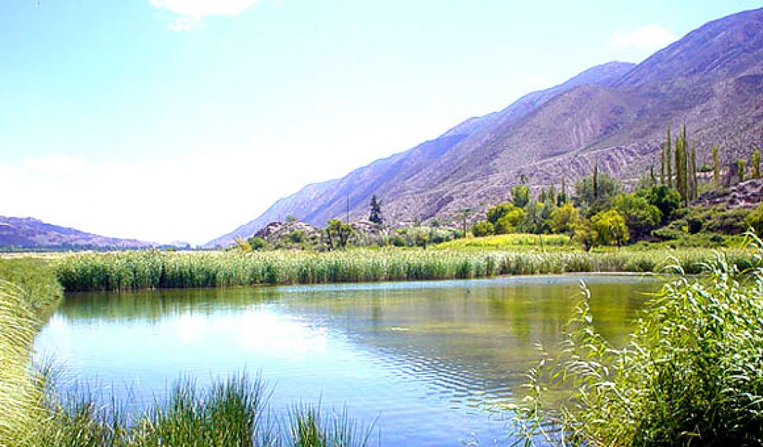Vecinos buscan poner en valor la Laguna de Cerro Chico conocida hoy como Laguna de los patos