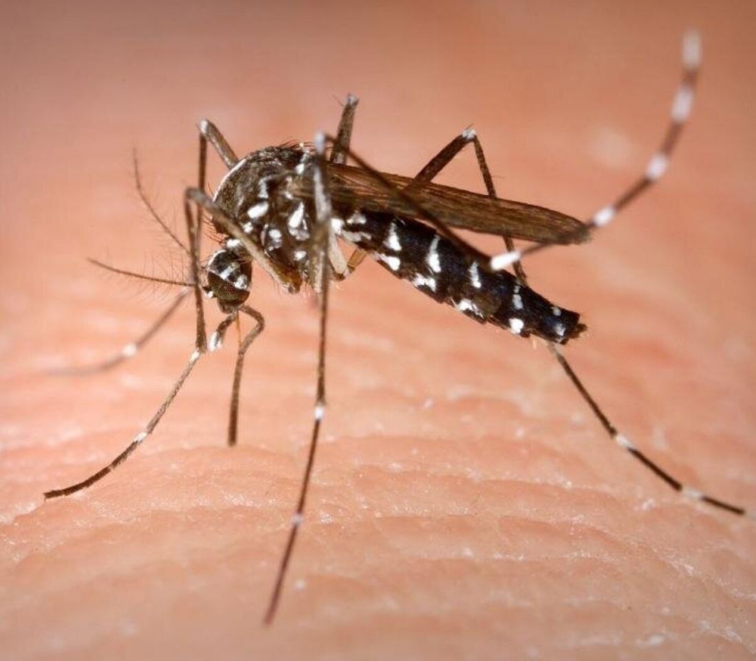 Son 11 los casos de Dengue en la provincia