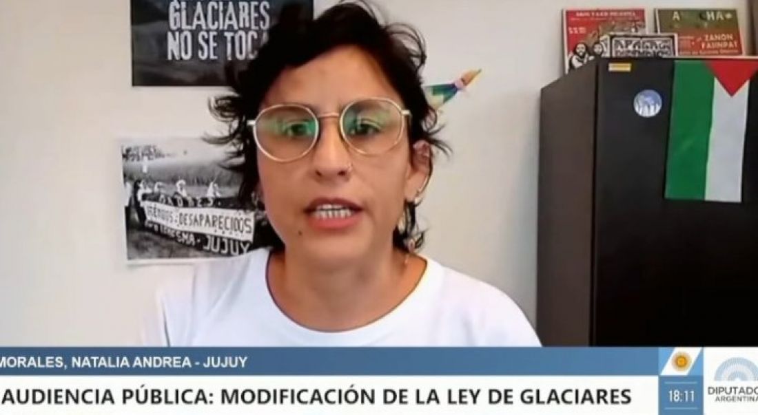 Natalia Morales: “más de 100 mil fueron silenciados en esta falsa audiencia por la Ley de Glaciares”