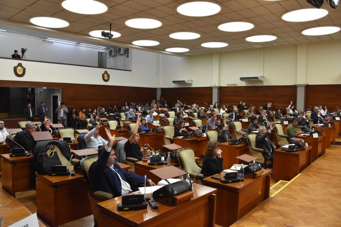 "La chancha, los 20 y la máquina de hacer chorizo", la Legislatura aprobó el RIGI provincial