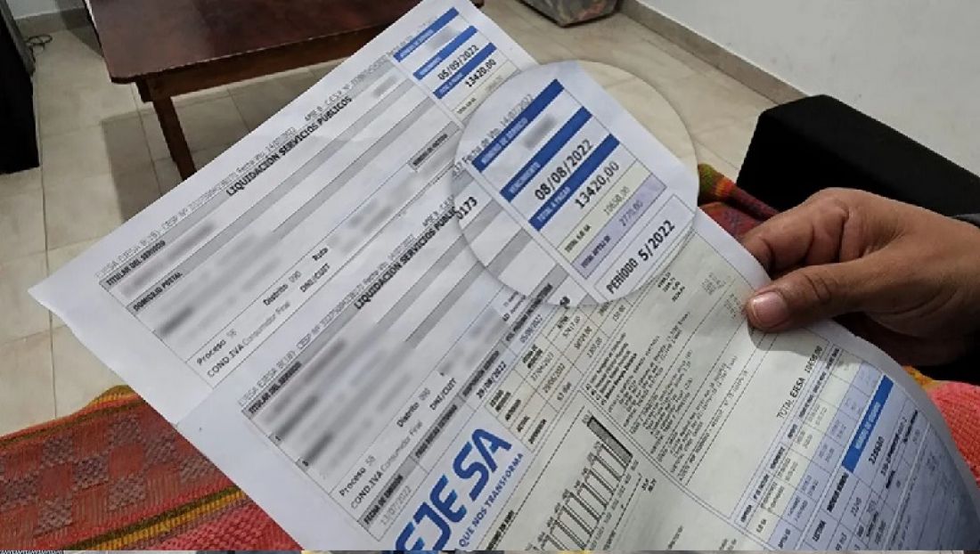Quién se lleva el 54% del tarifazo eléctrico: diputada radical apuntó al gobierno nacional y abogada la desmintió