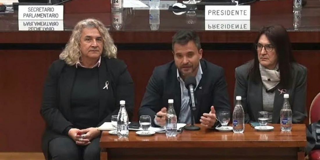 Herido por la interpelación, Posadas habló de un doble comando y el bloque de la UCR lo trató de mentiroso y paracaidista